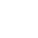 Anonymous Turtle